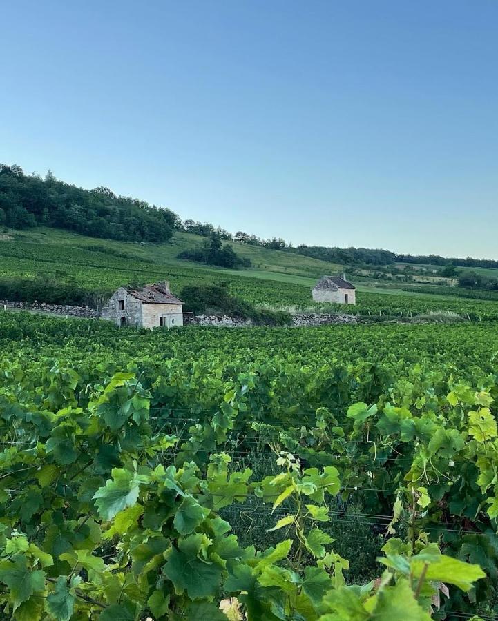 Le Clos De Miribel Givry  Luaran gambar
