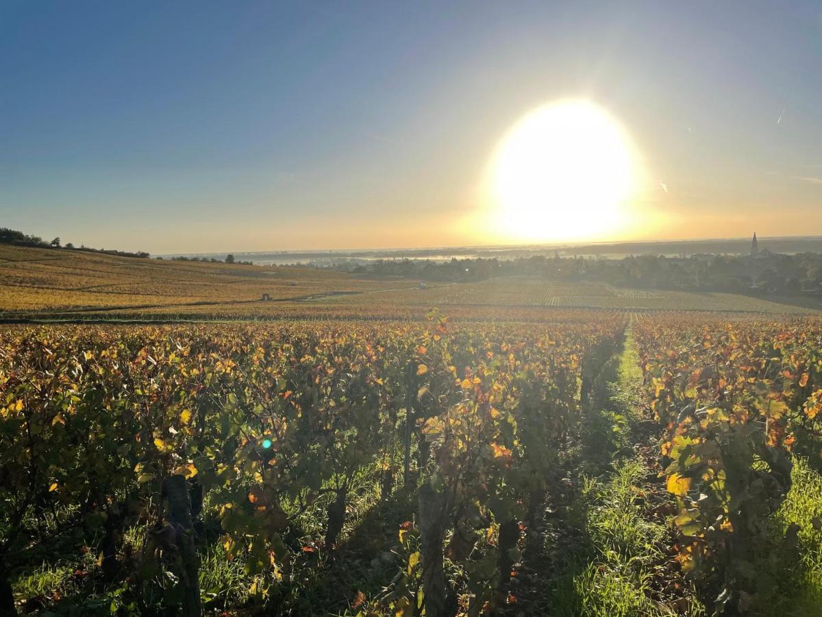 Le Clos De Miribel Givry  Luaran gambar