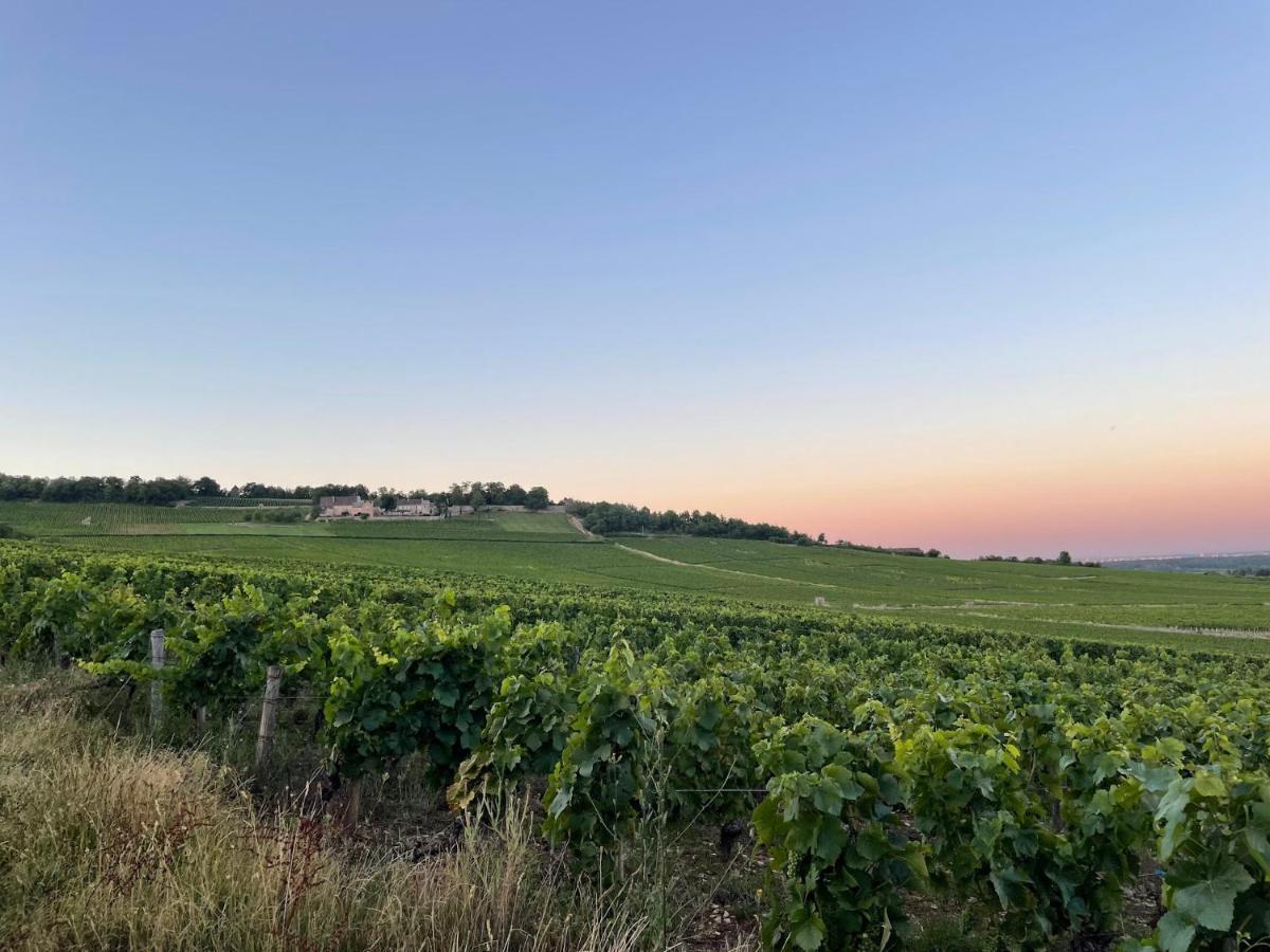 Le Clos De Miribel Givry  Luaran gambar
