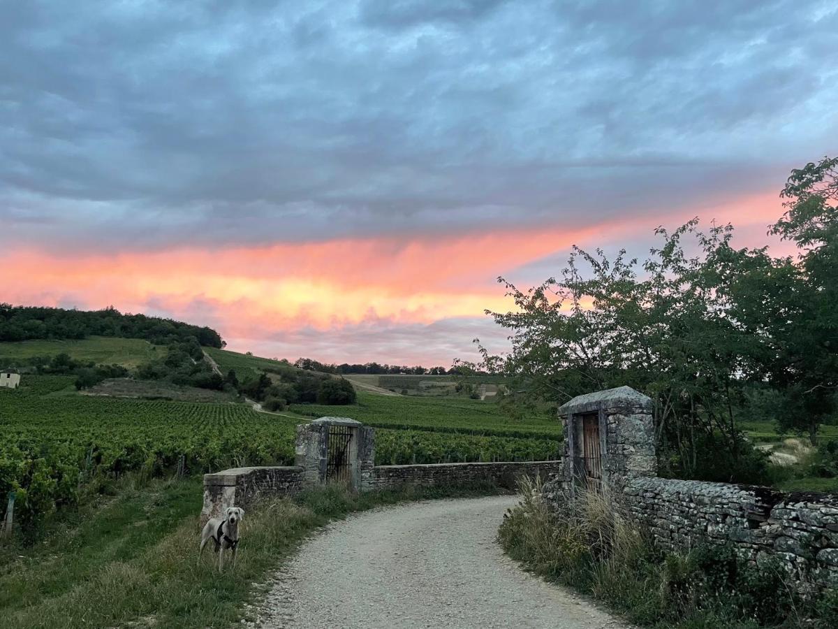 Le Clos De Miribel Givry  Luaran gambar